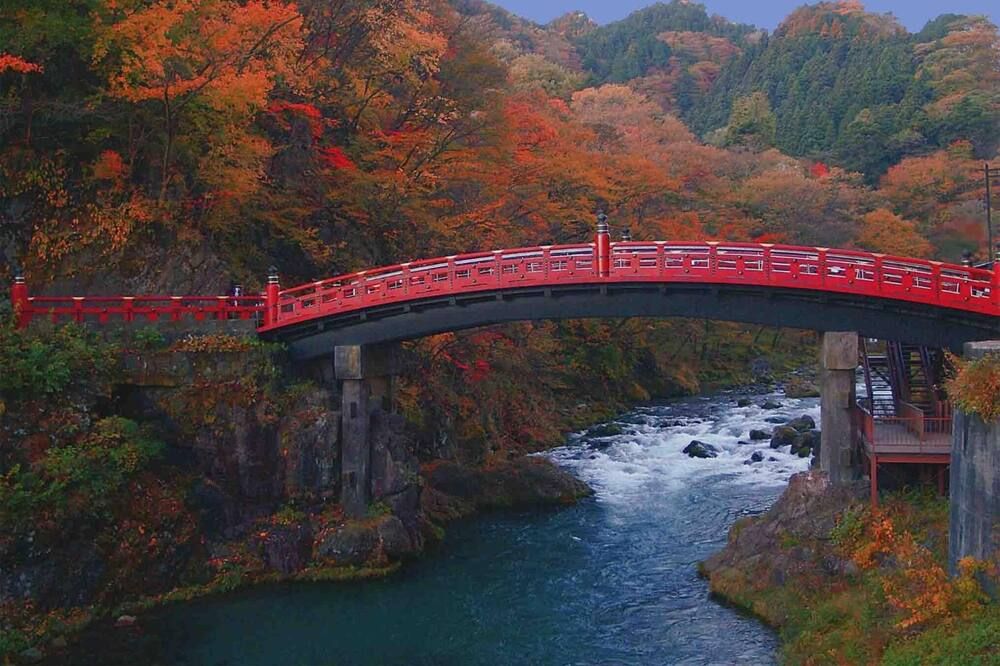 المظهر الخارجي