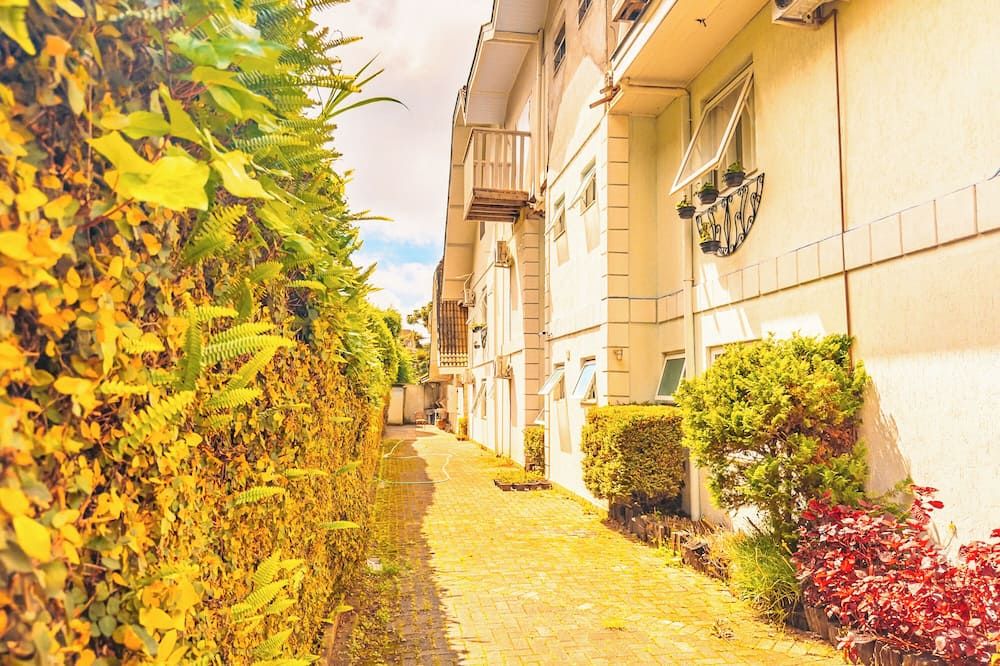 المظهر الخارجي