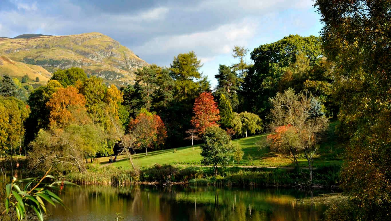 المظهر الخارجي