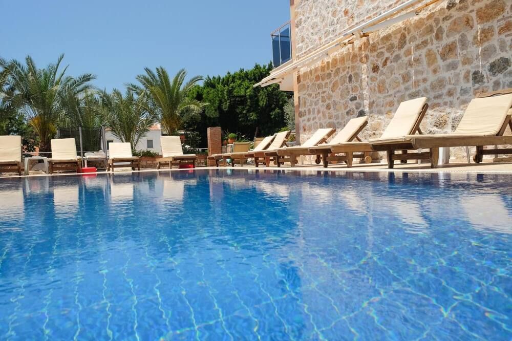 حوض السباحة