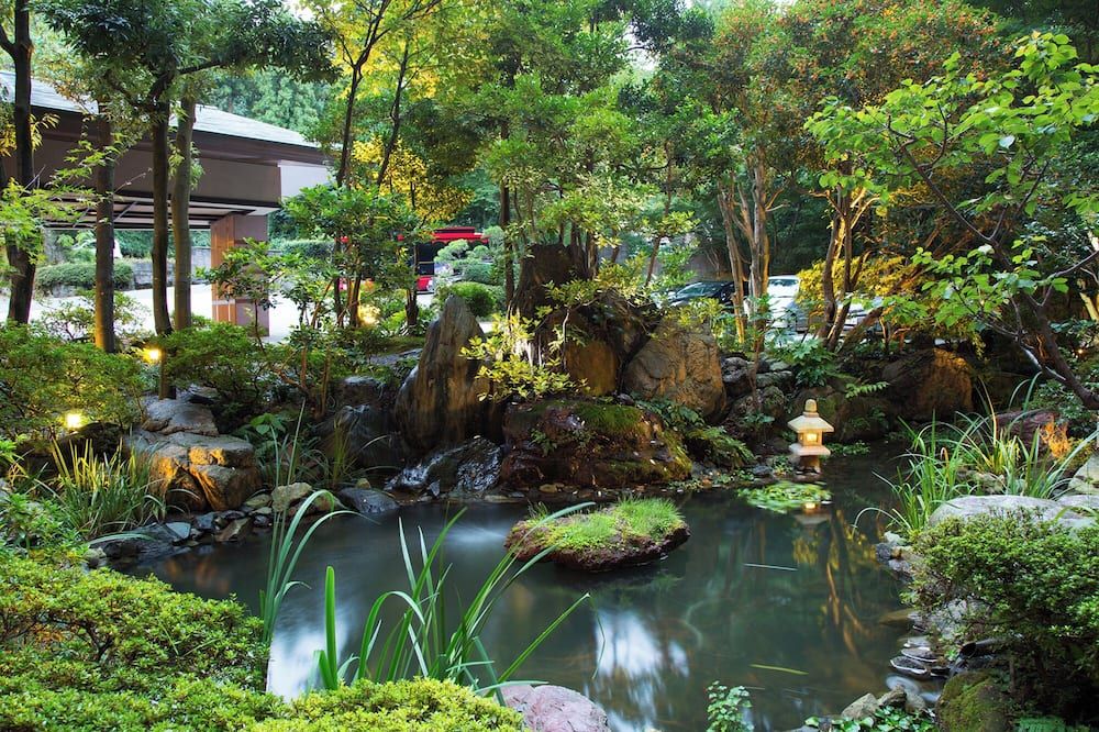 المظهر الخارجي