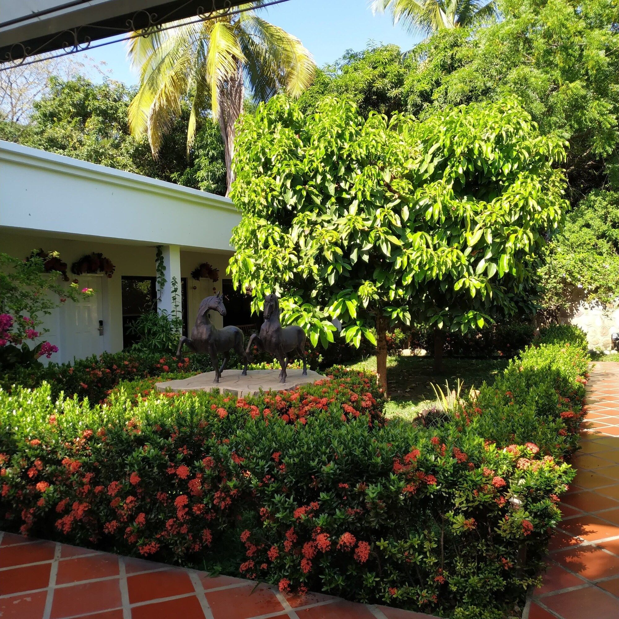 المظهر الخارجي