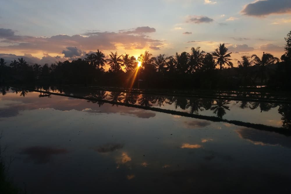 المظهر الخارجي