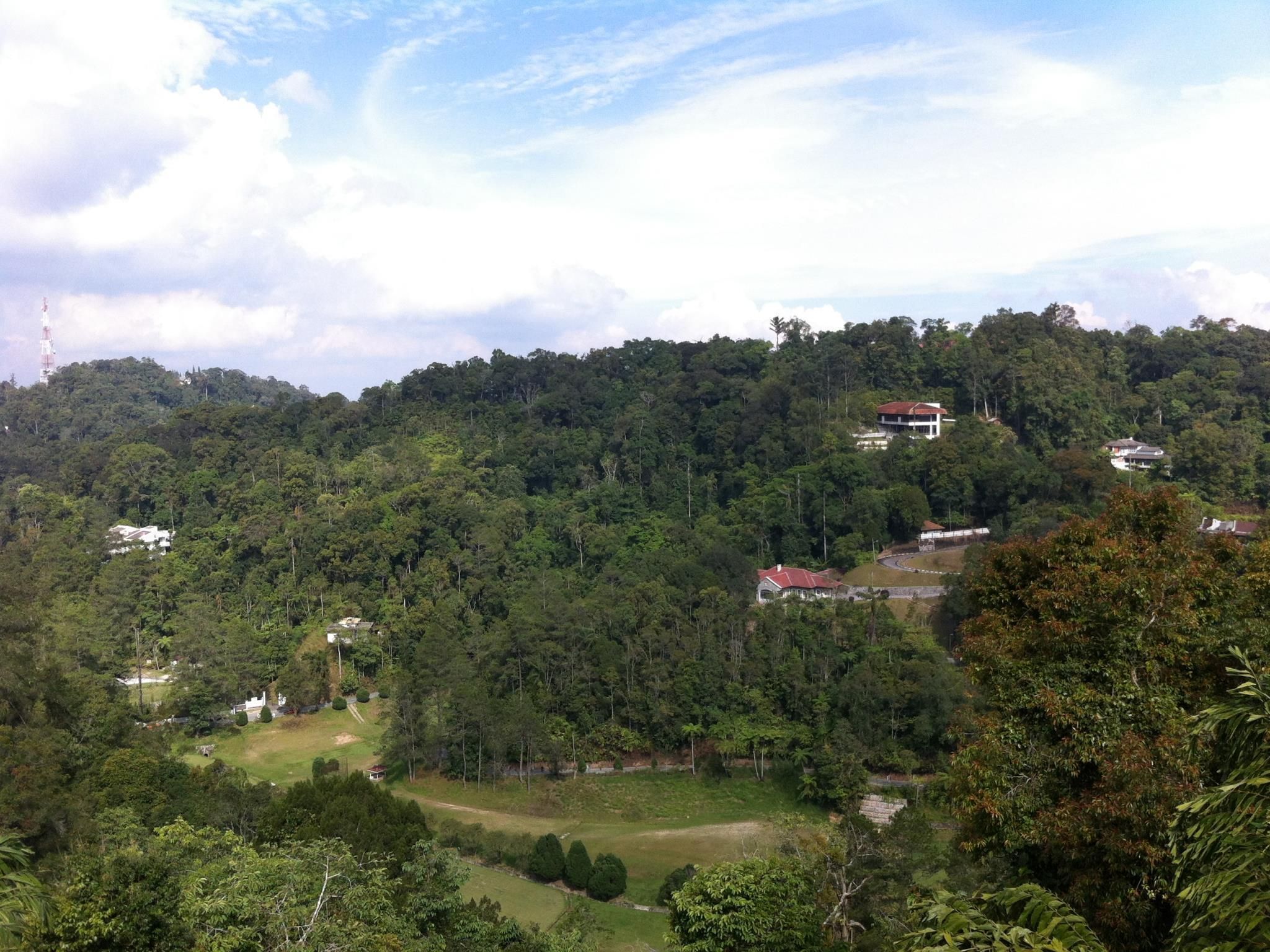 المظهر الخارجي