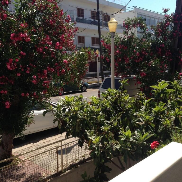 المظهر الخارجي