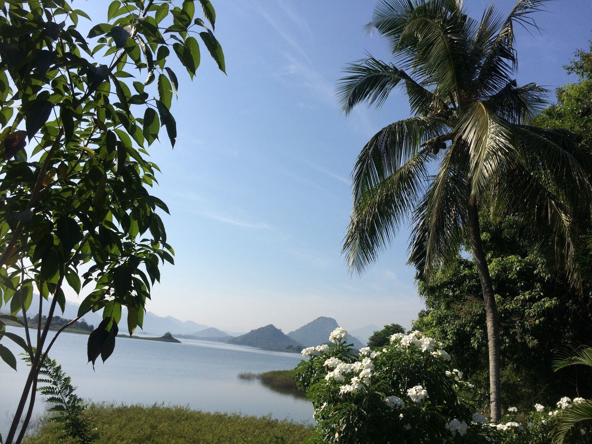 المظهر الخارجي