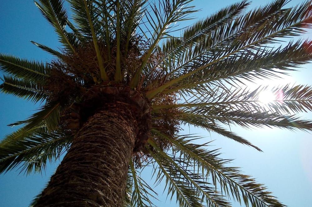 المظهر الخارجي