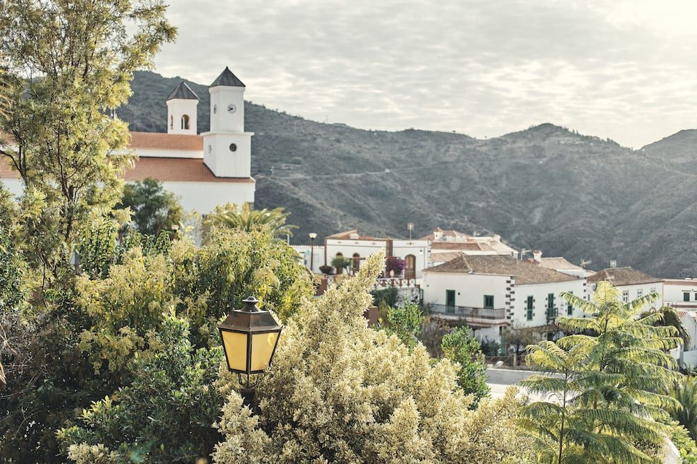 المظهر الخارجي