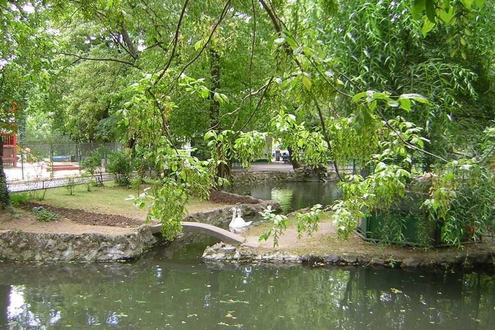 المظهر الخارجي