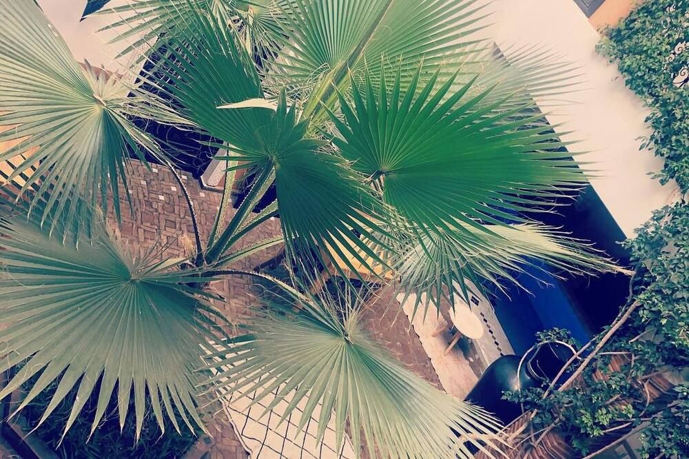 المظهر الخارجي