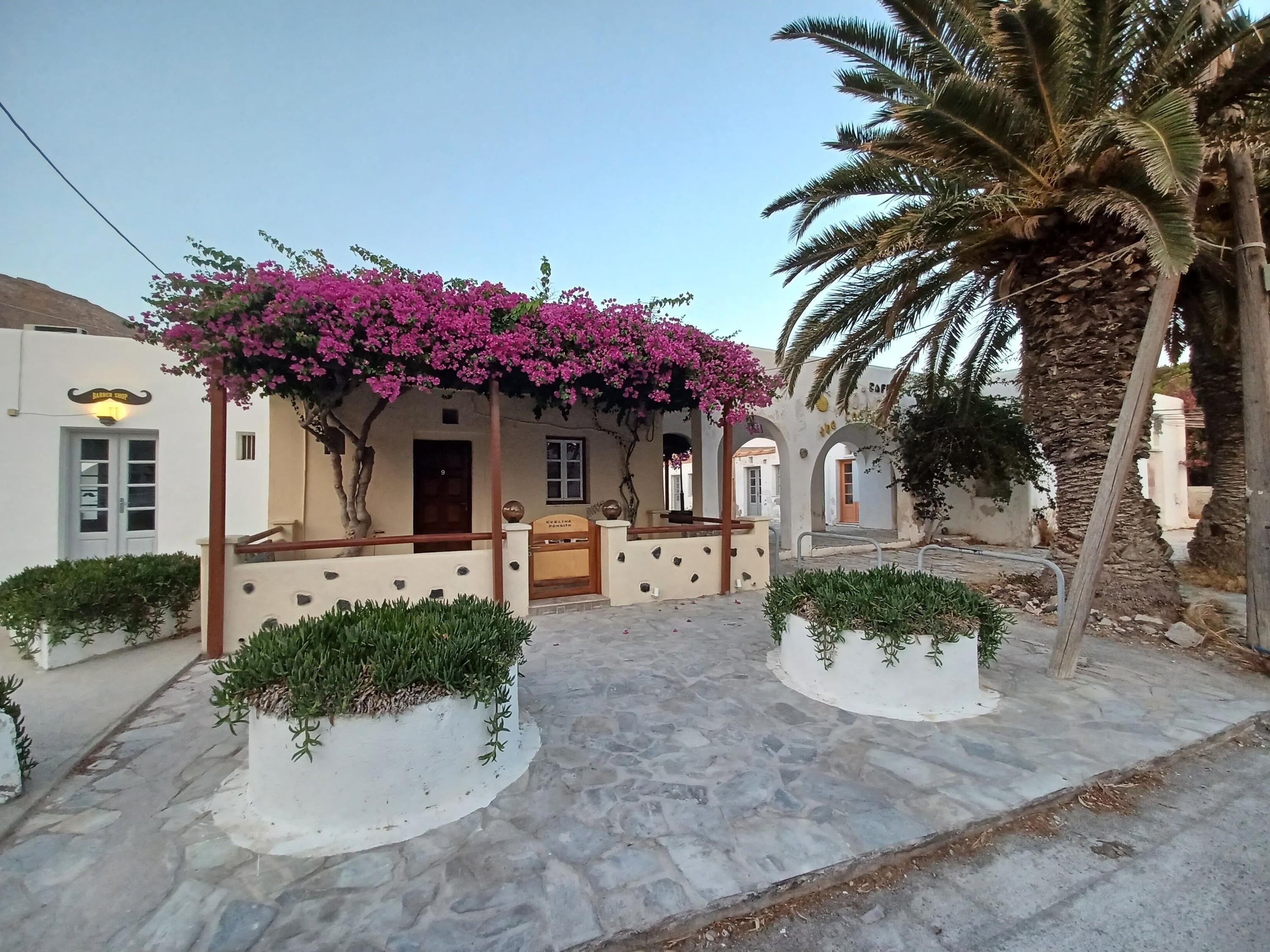 المظهر الخارجي