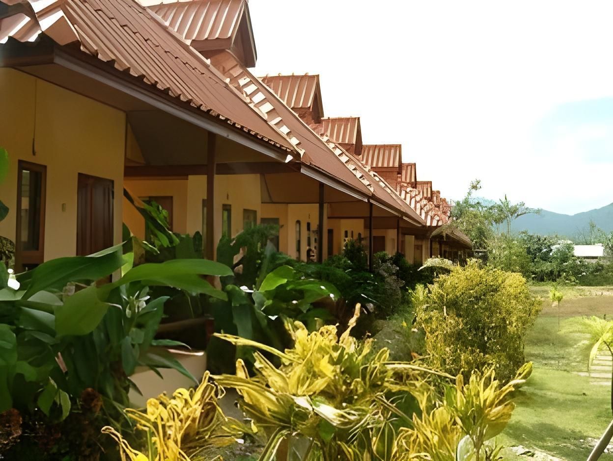 المظهر الخارجي