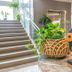 سلالم
