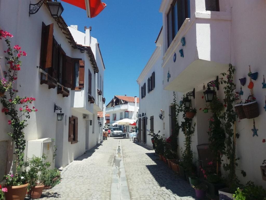 المظهر الخارجي