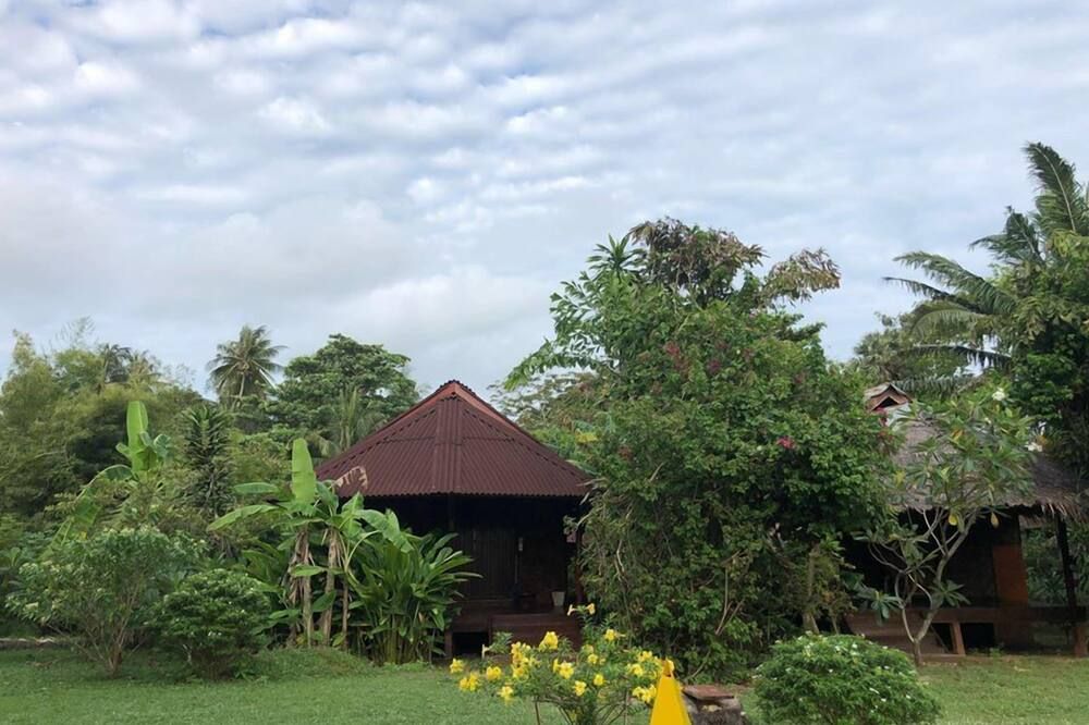المظهر الخارجي