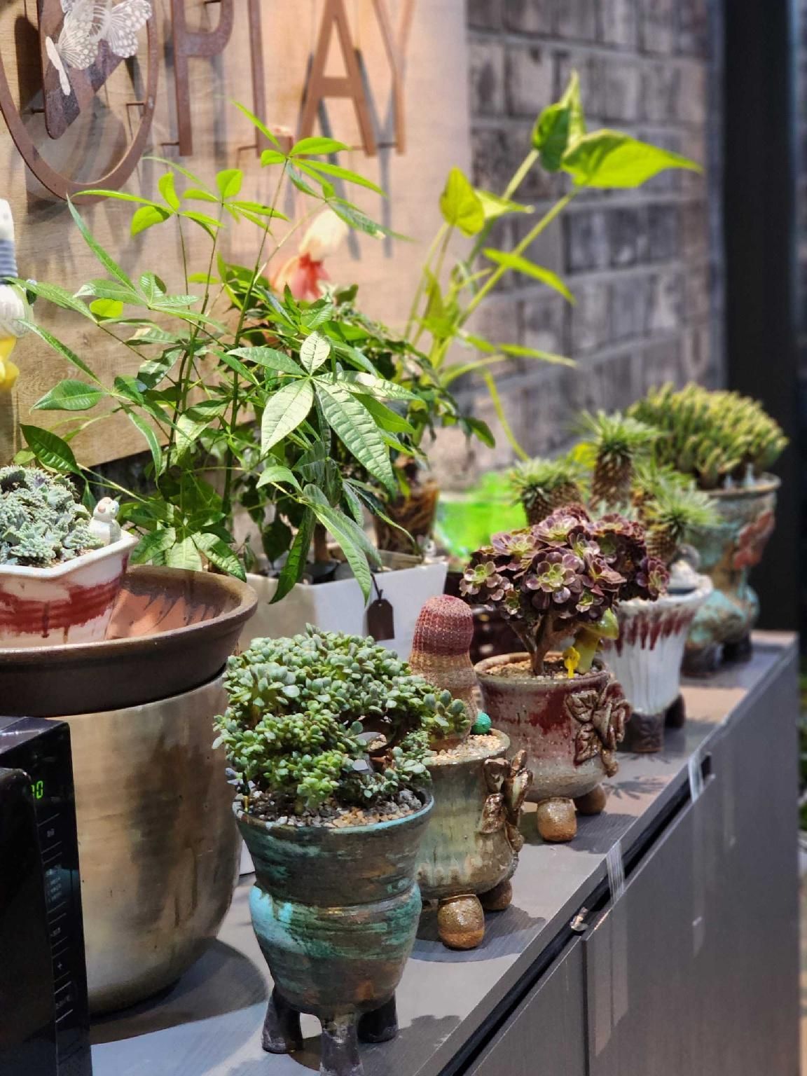 المظهر الخارجي