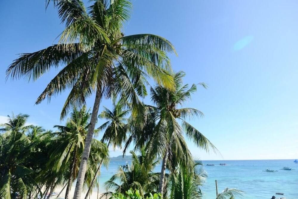 المظهر الخارجي