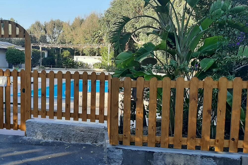 المظهر الخارجي