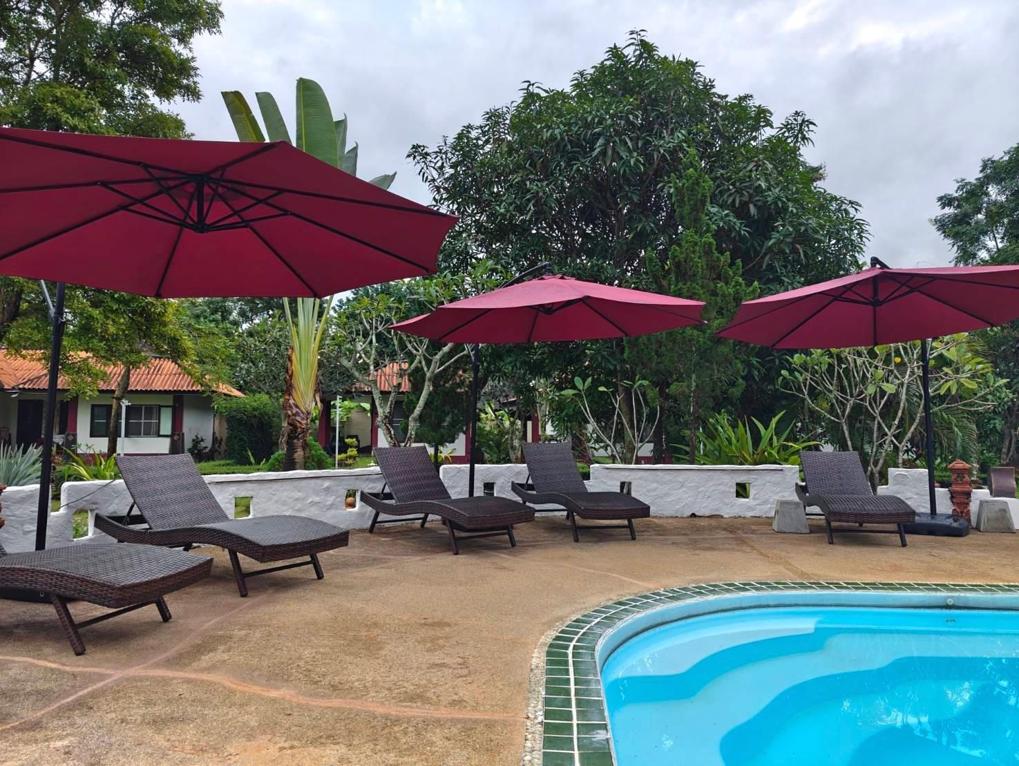 حوض السباحة