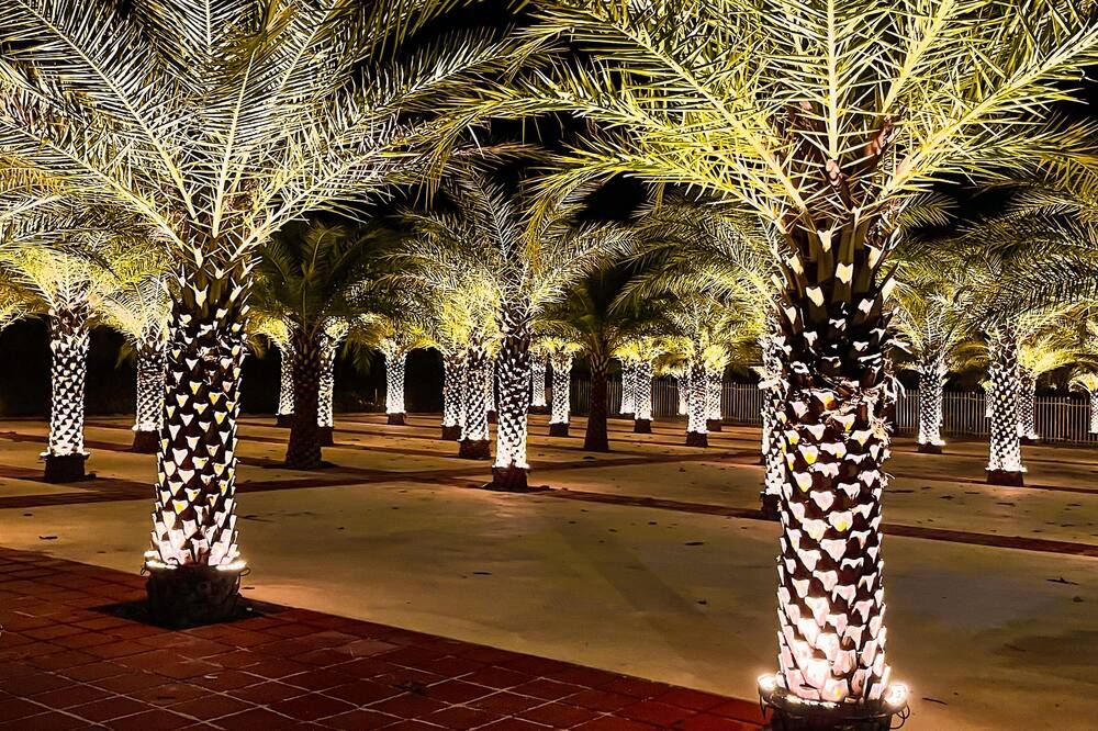 المظهر الخارجي