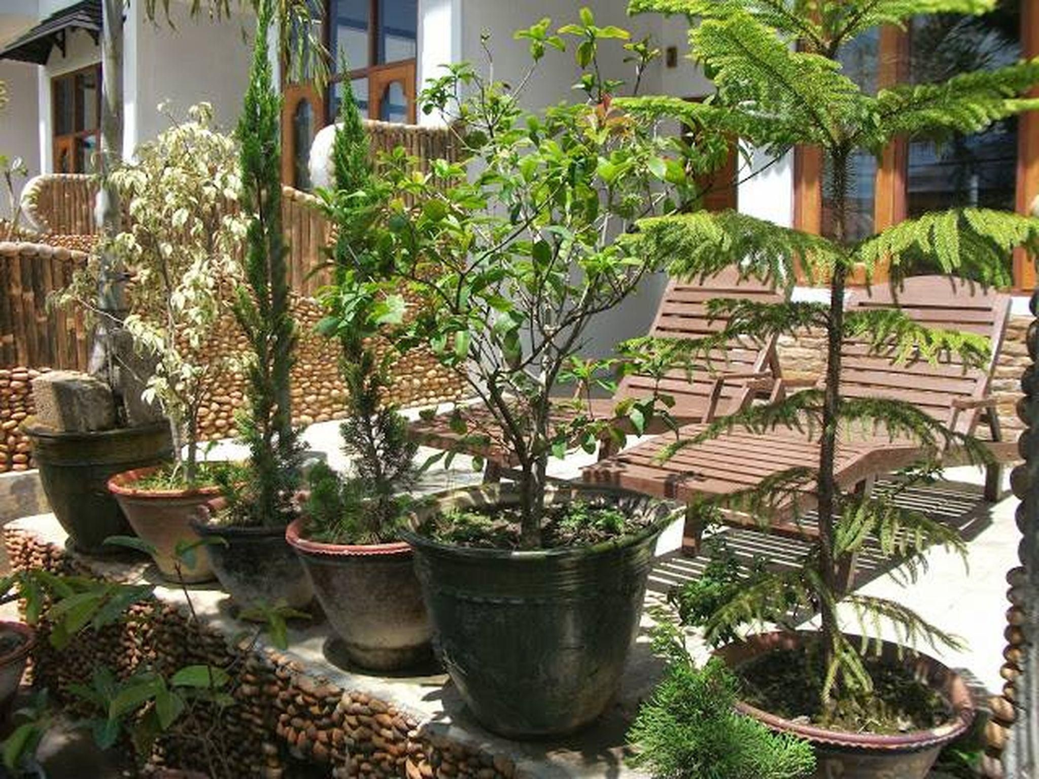 المظهر الخارجي