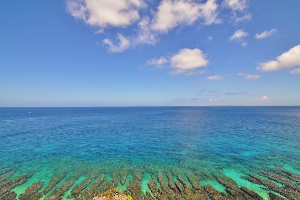 شاطئ صورة