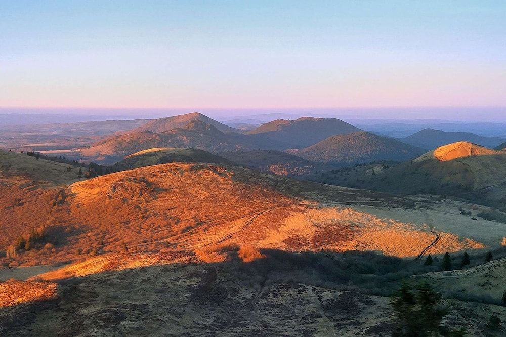 المظهر الخارجي