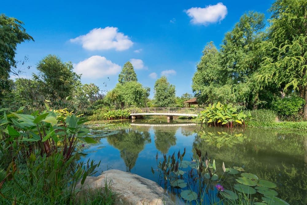 المظهر الخارجي