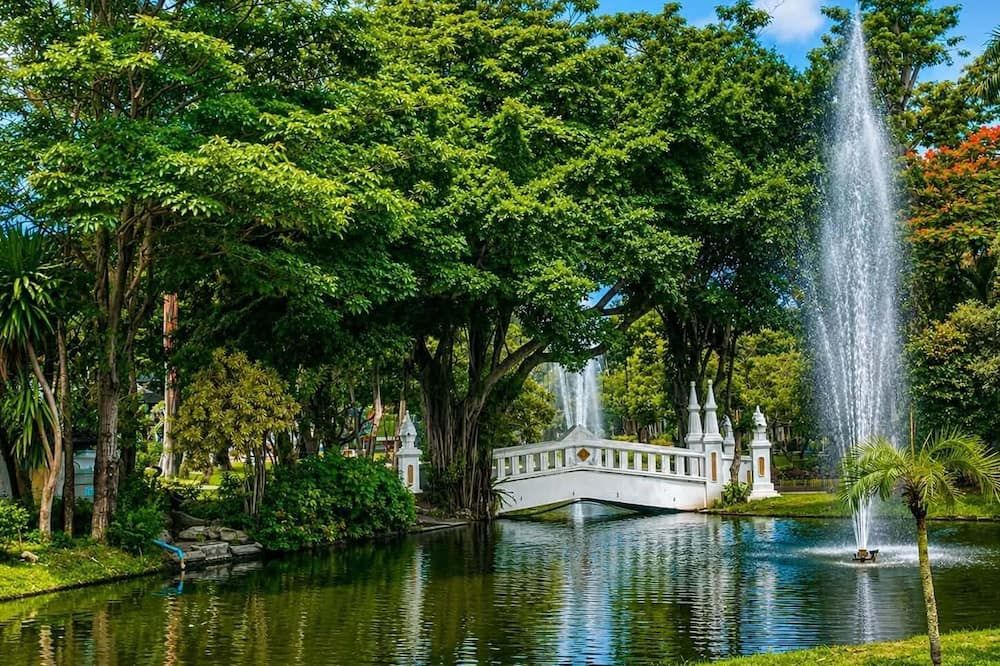 المظهر الخارجي صورة
