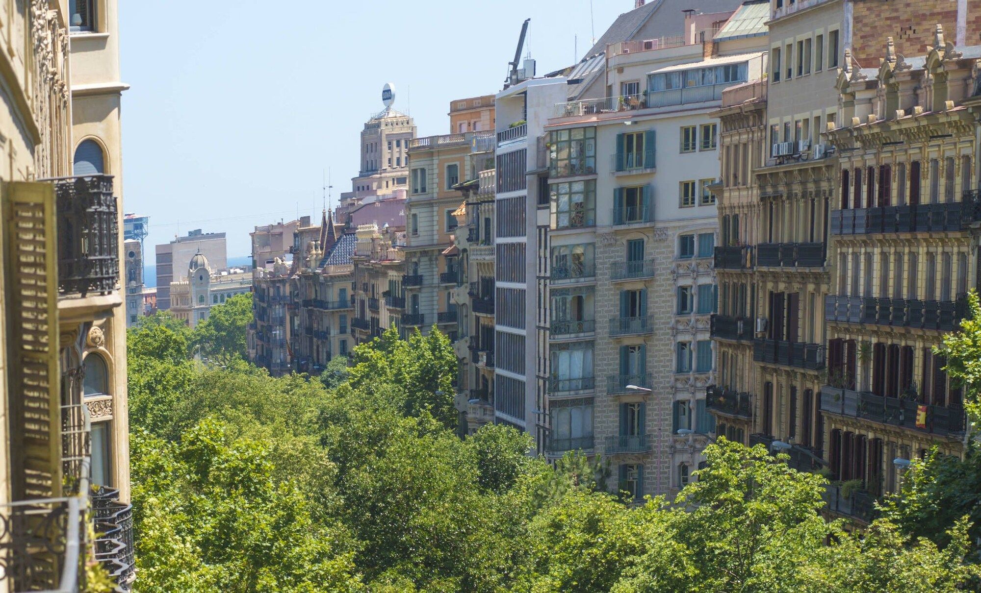 المظهر الخارجي