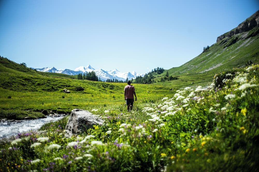 المظهر الخارجي
