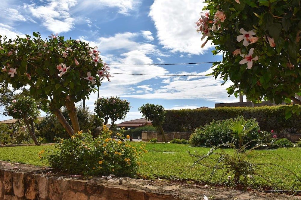 المظهر الخارجي