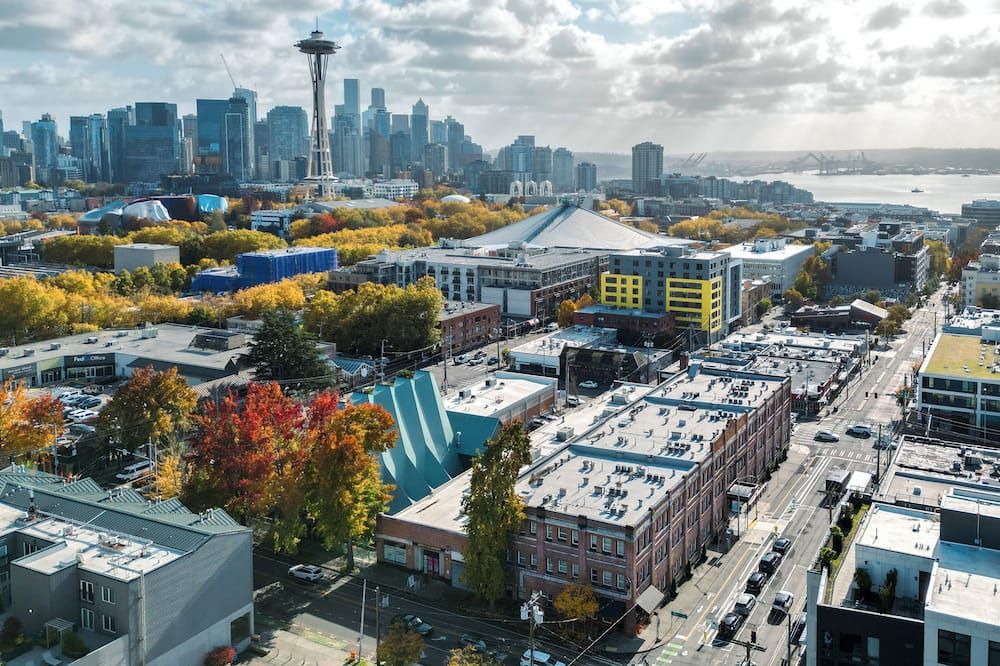 المظهر الخارجي