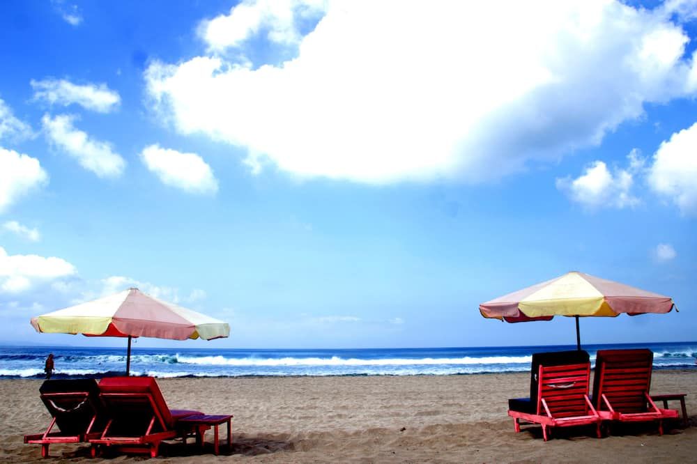 شاطئ