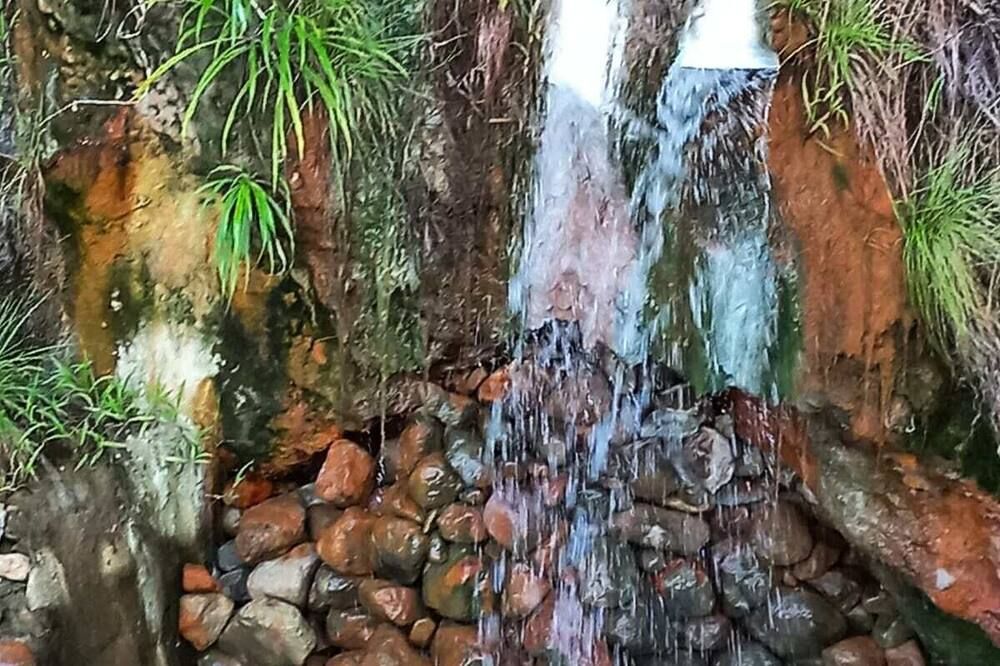 المظهر الخارجي