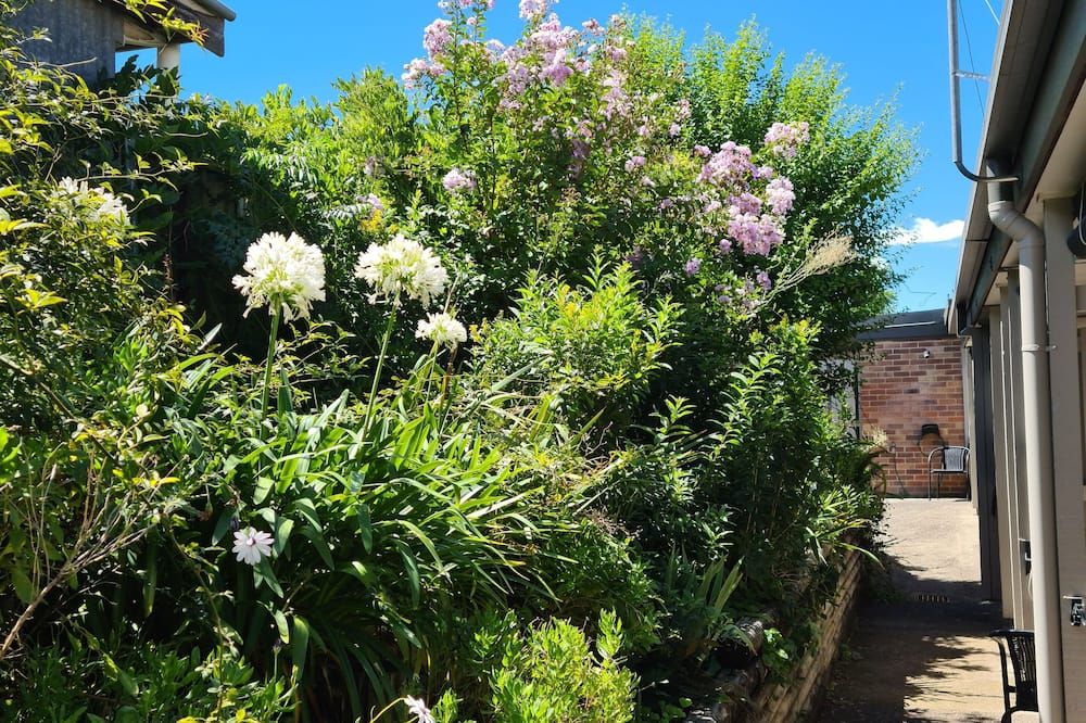 المظهر الخارجي