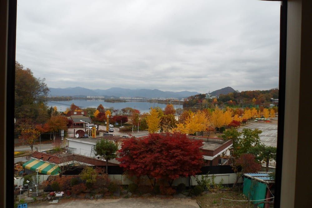 المظهر الخارجي