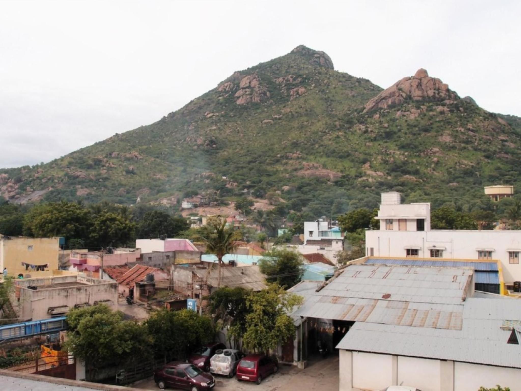 المظهر الخارجي