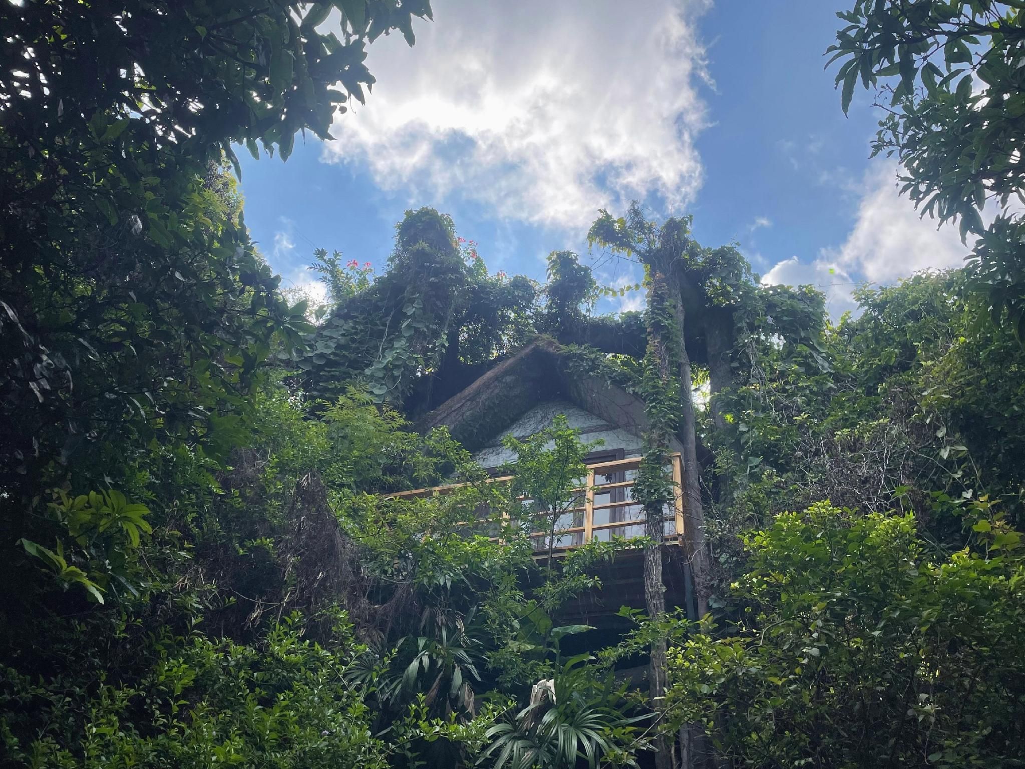 المظهر الخارجي