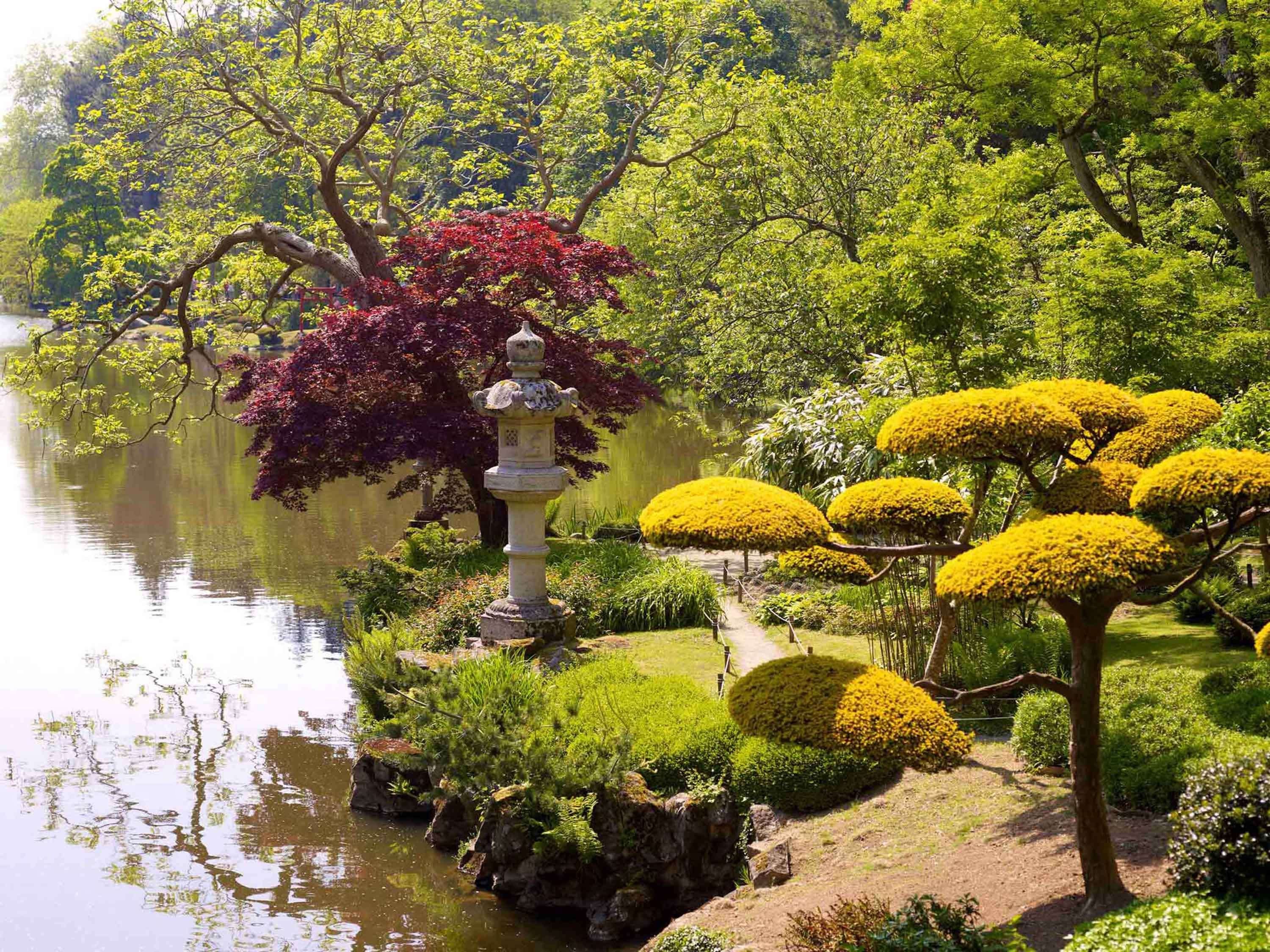 المظهر الخارجي