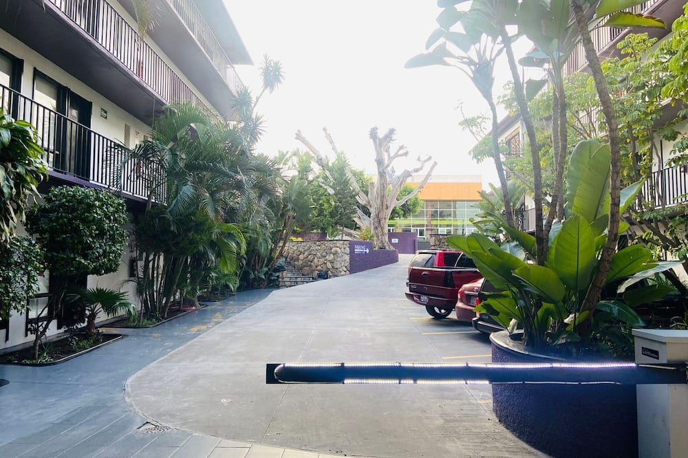 المظهر الخارجي