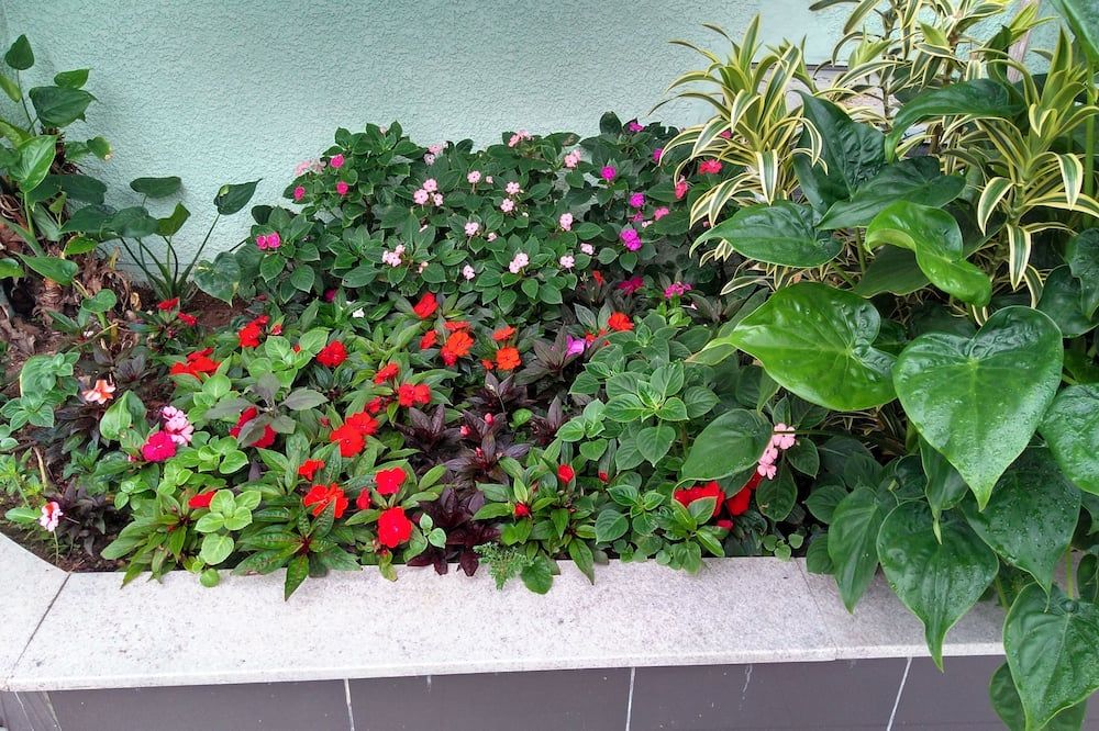 المظهر الخارجي