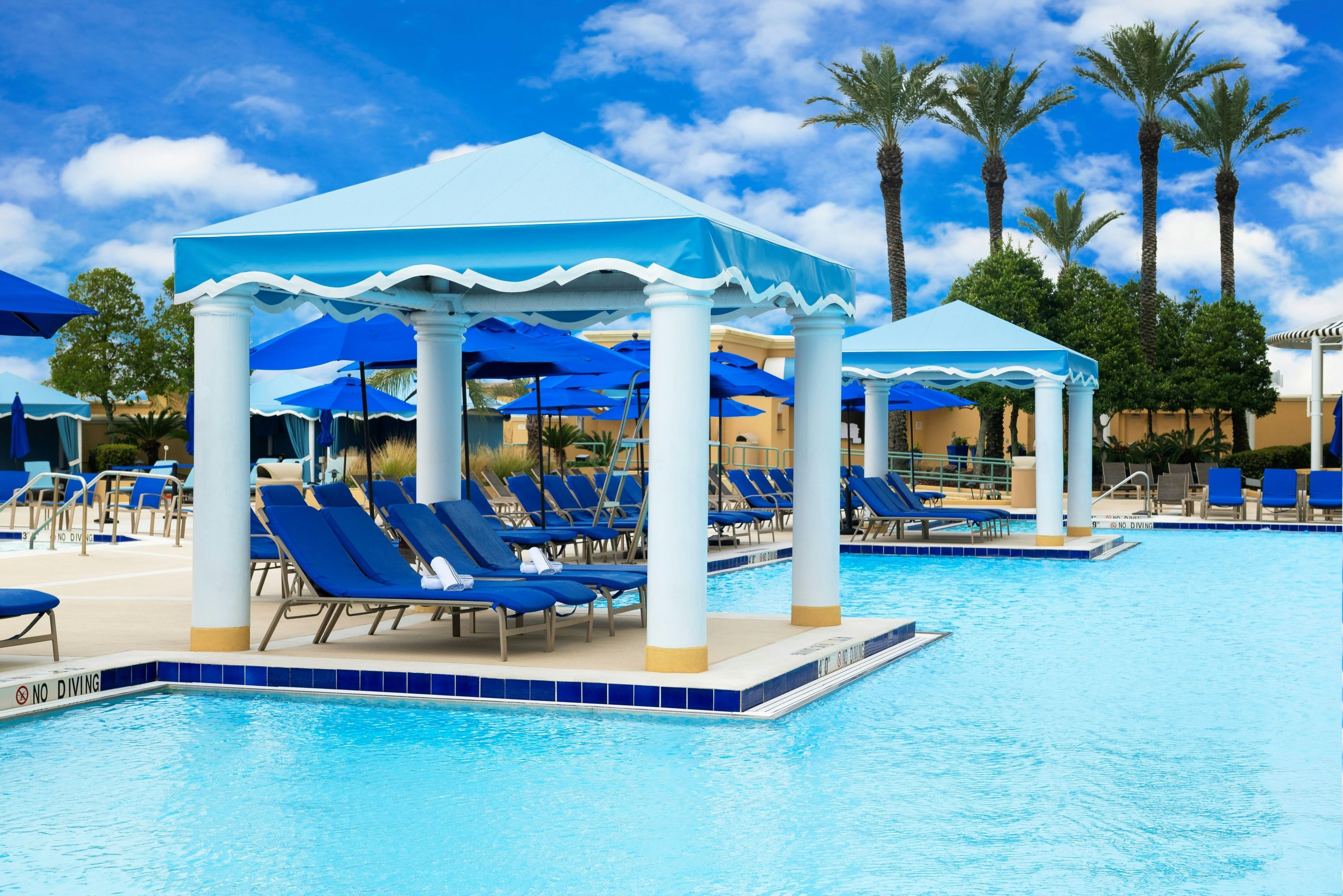 حوض السباحة