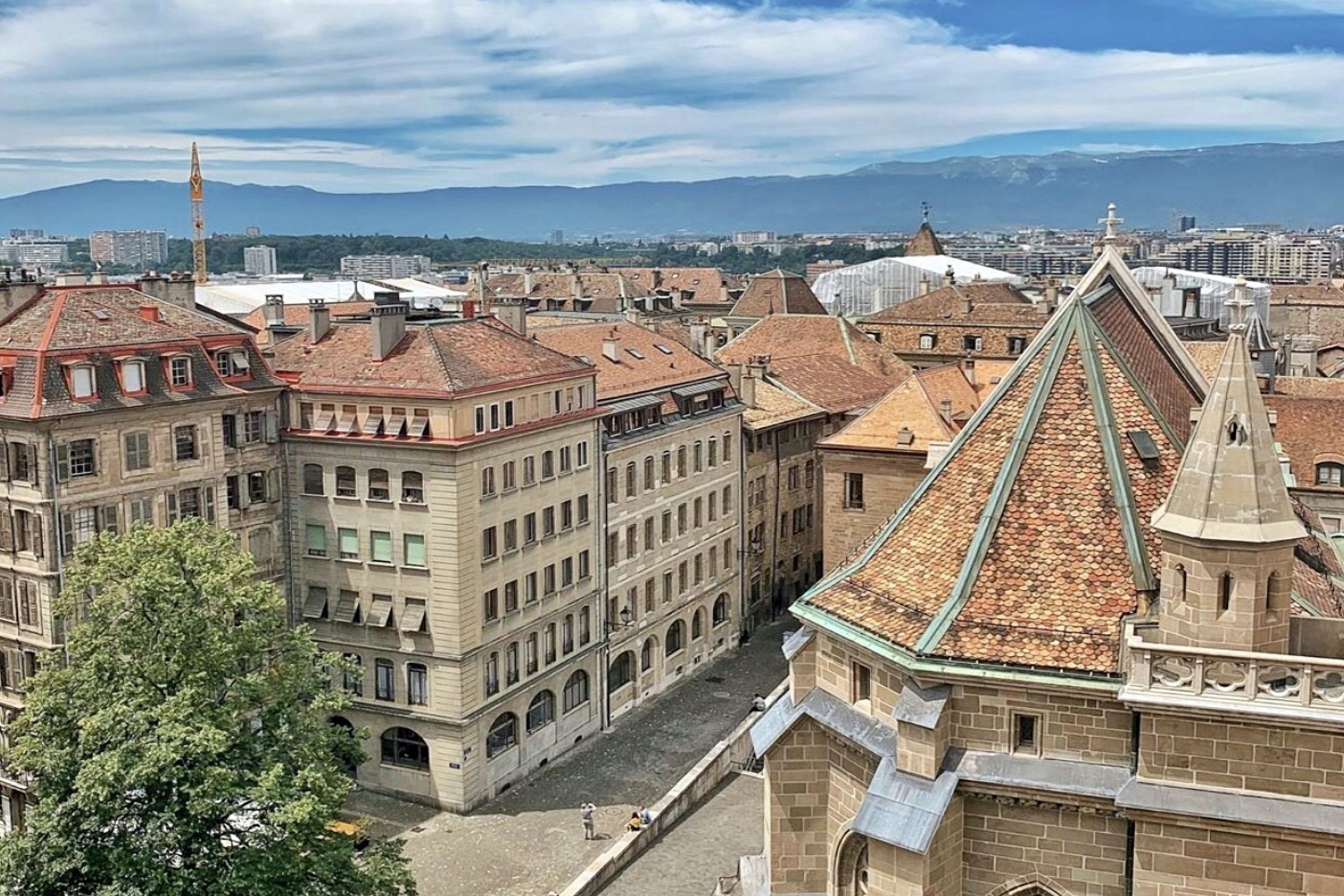 المظهر الخارجي