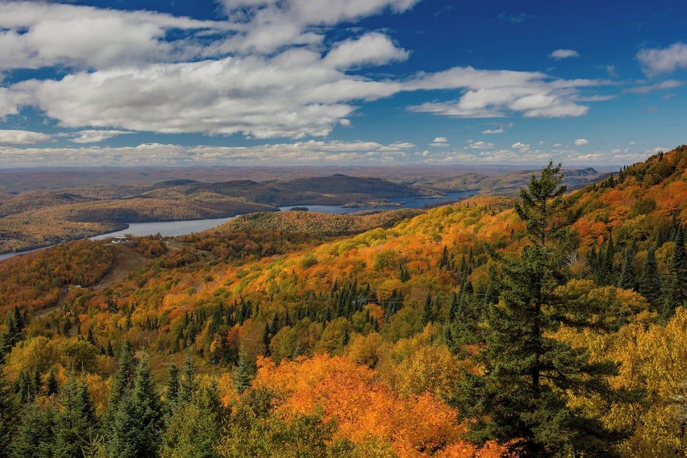 المظهر الخارجي