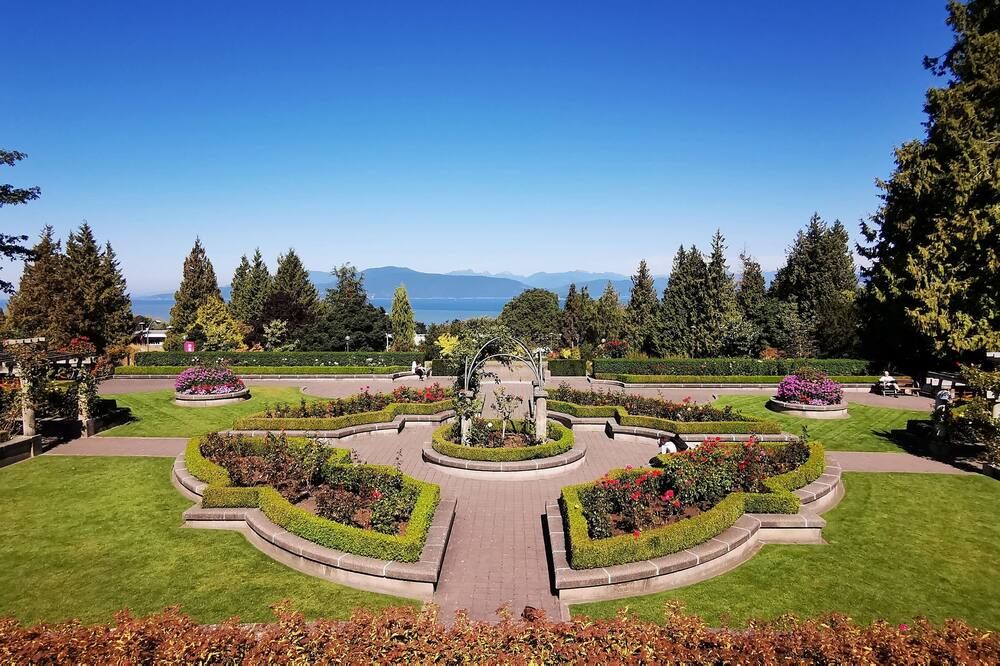 المظهر الخارجي