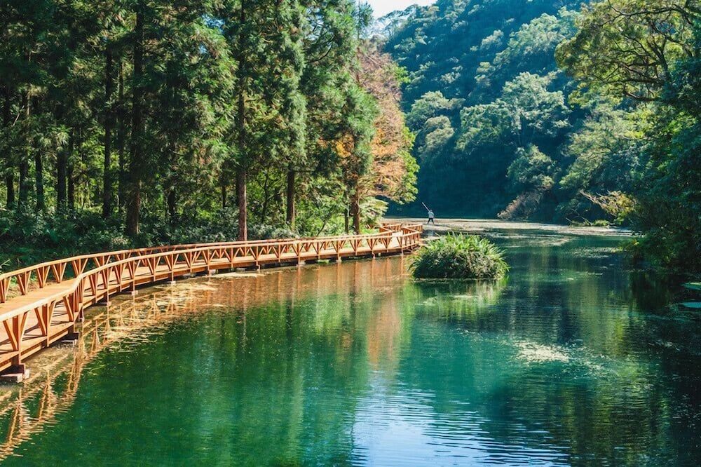 المظهر الخارجي