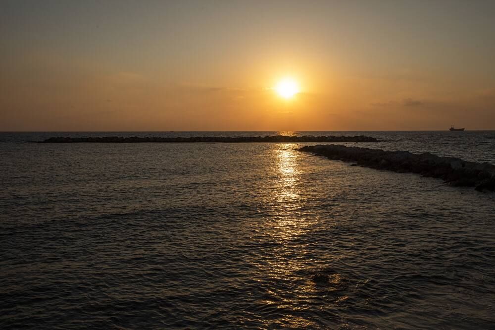 شاطئ