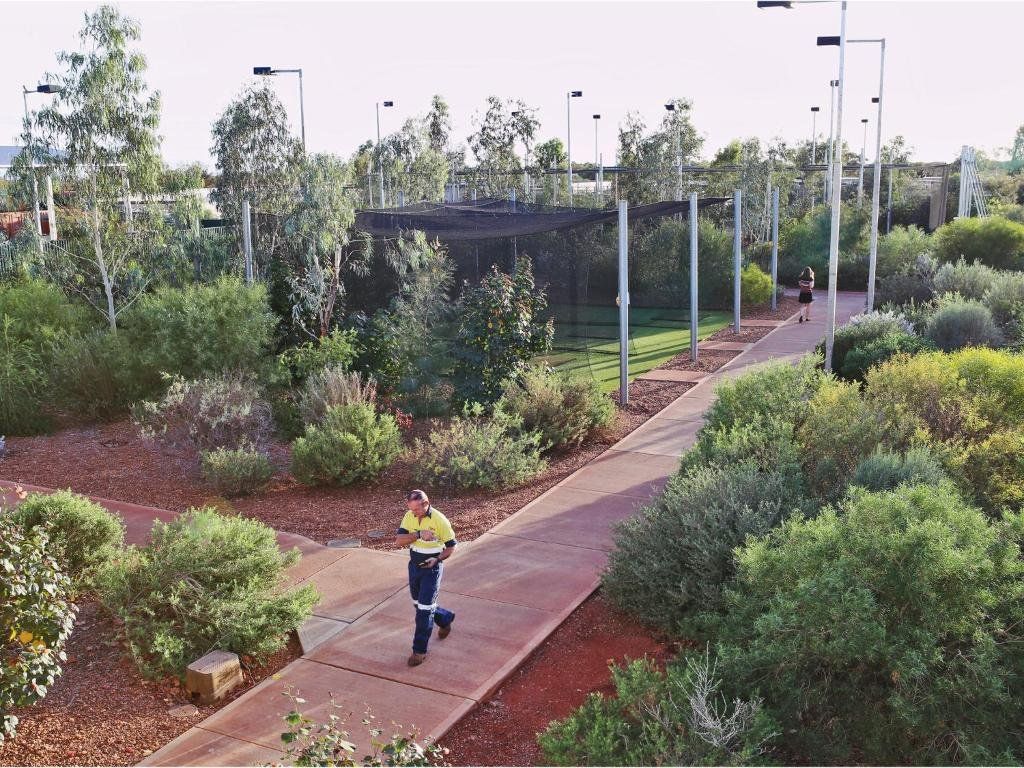 المظهر الخارجي