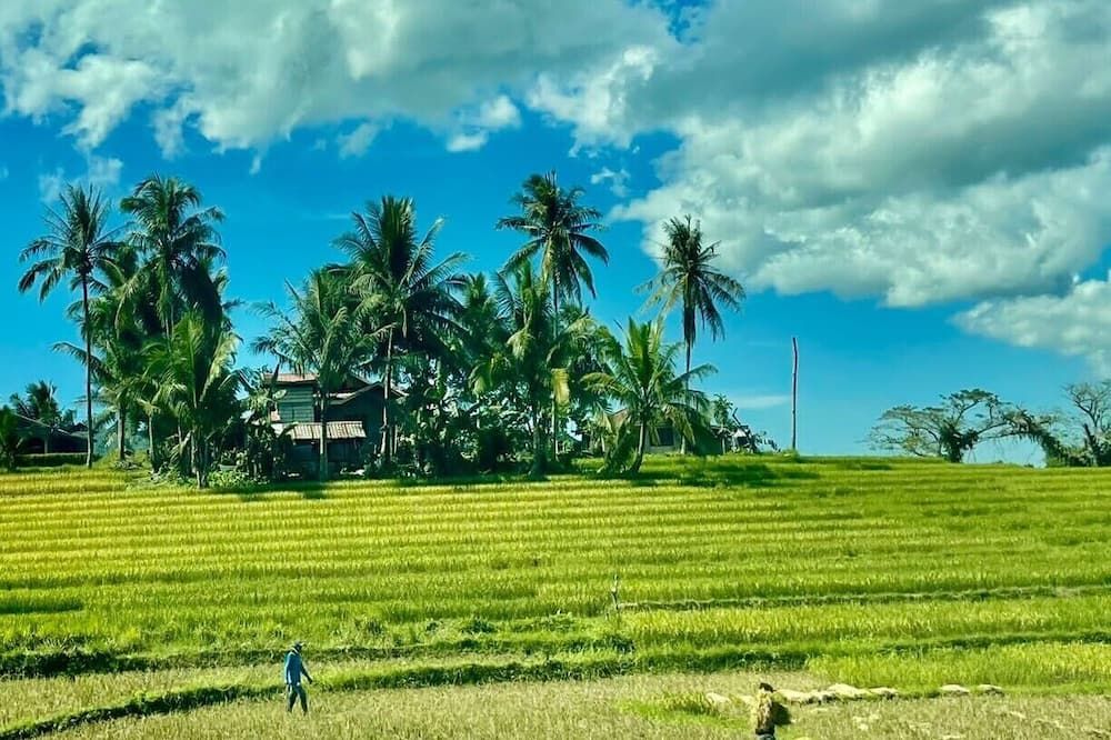 المظهر الخارجي